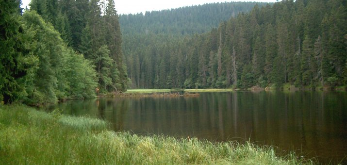 Jezero Laka (Šumava)